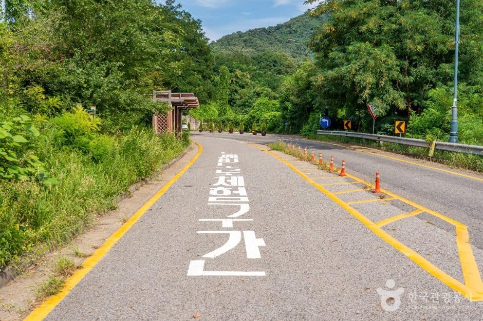 의왕_의왕도깨비도로 (1)