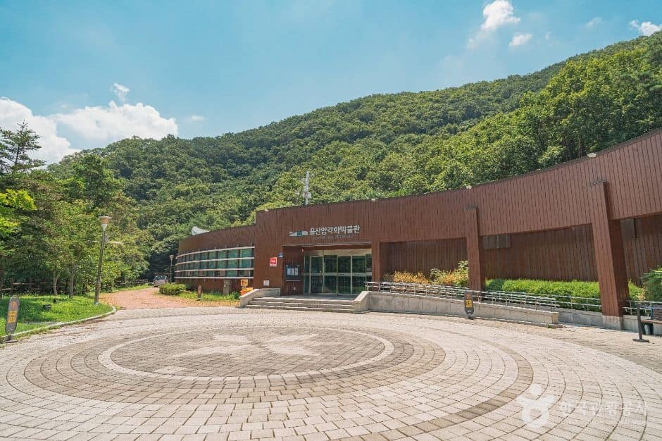 울산_울산암각화박물관 (1)