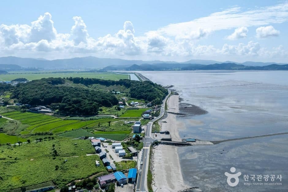보령_은포리해안도로 (5)