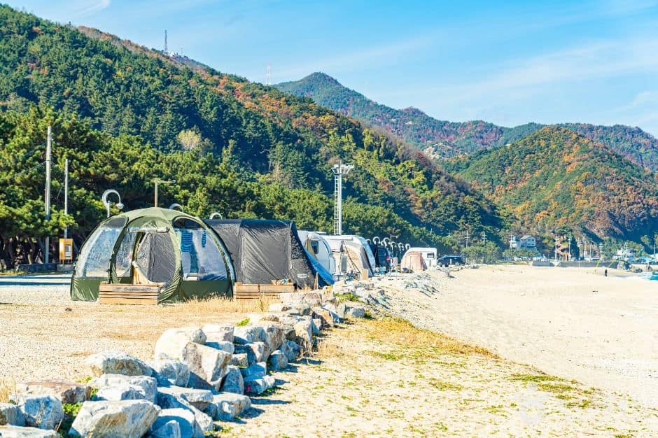 울진_기성망양해수욕장 (2)