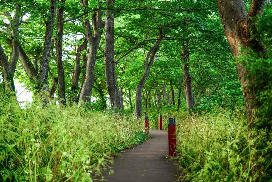 남해_[남해바래길 6코스] 죽방멸치길 (1).jpg