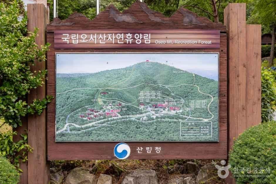보령_국립오서산자연휴양림 (1).jpg