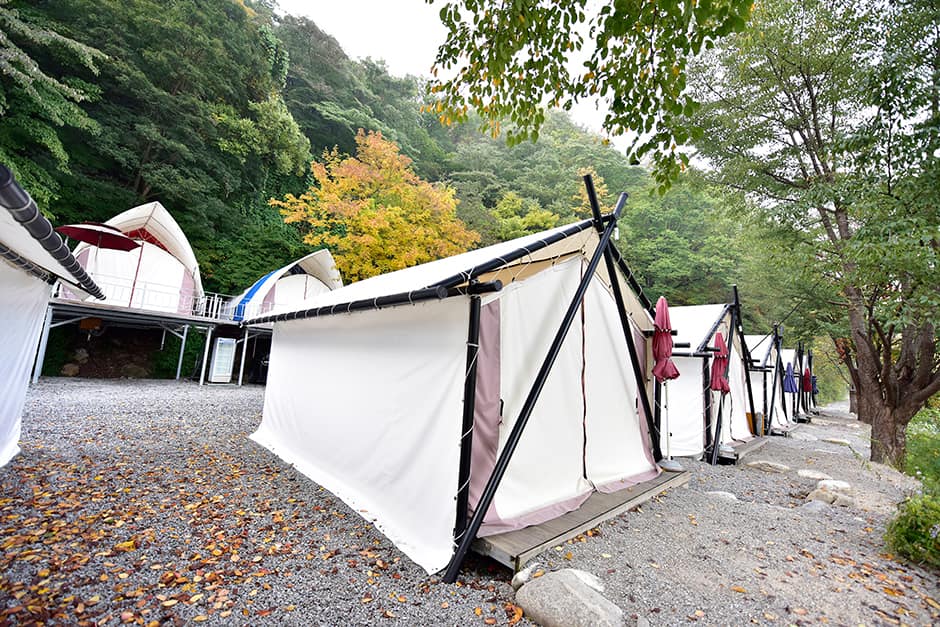하늘숲글램핑 파크_전경2