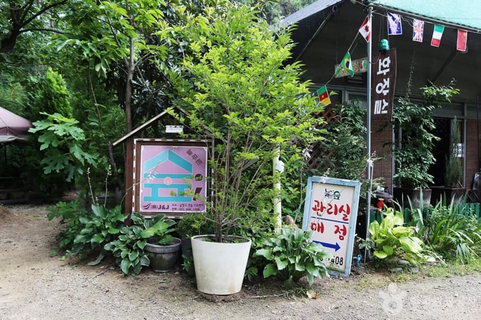 늘푸른숲 (2)