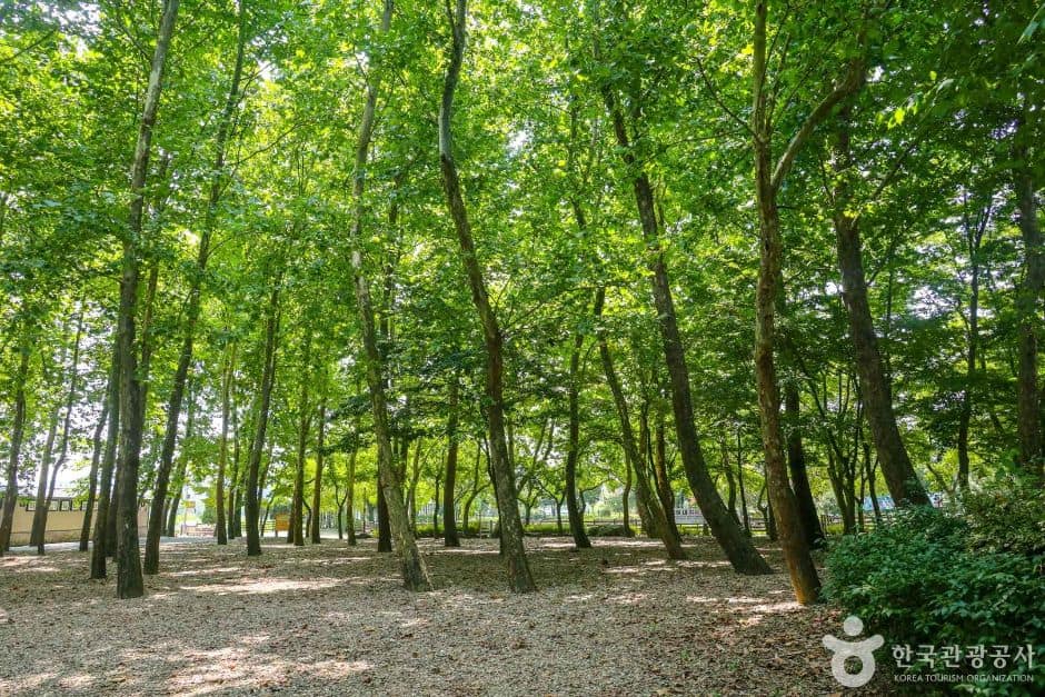 송산유원지 (6)