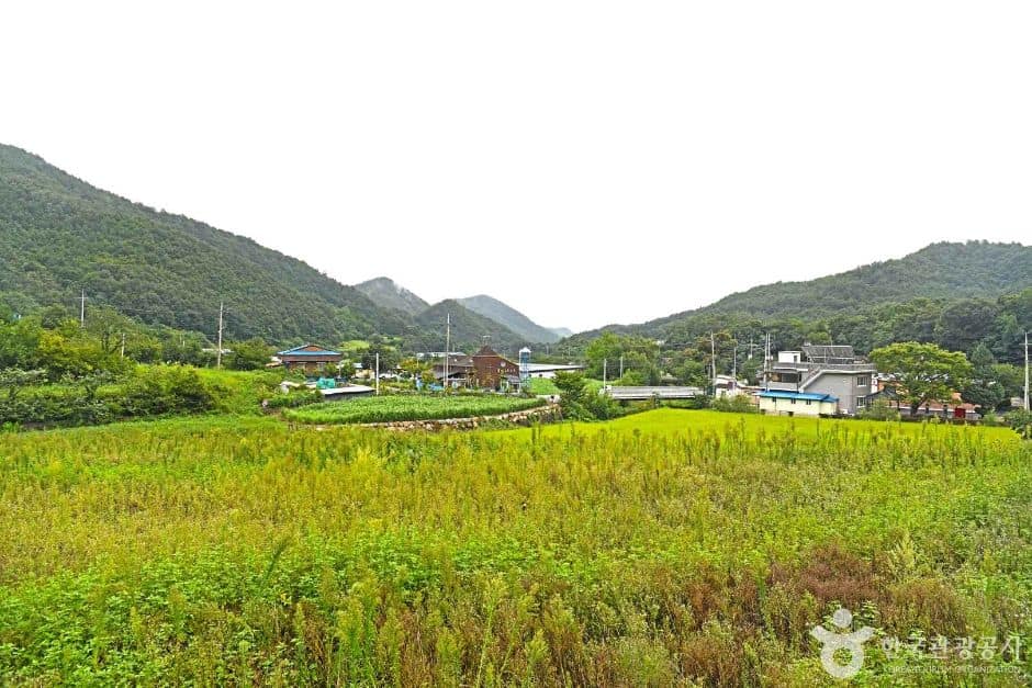삼척_고천마을 (1)