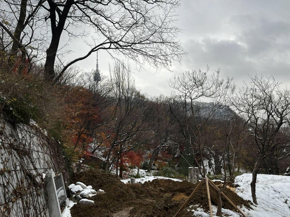 남산인권숲_풍경2