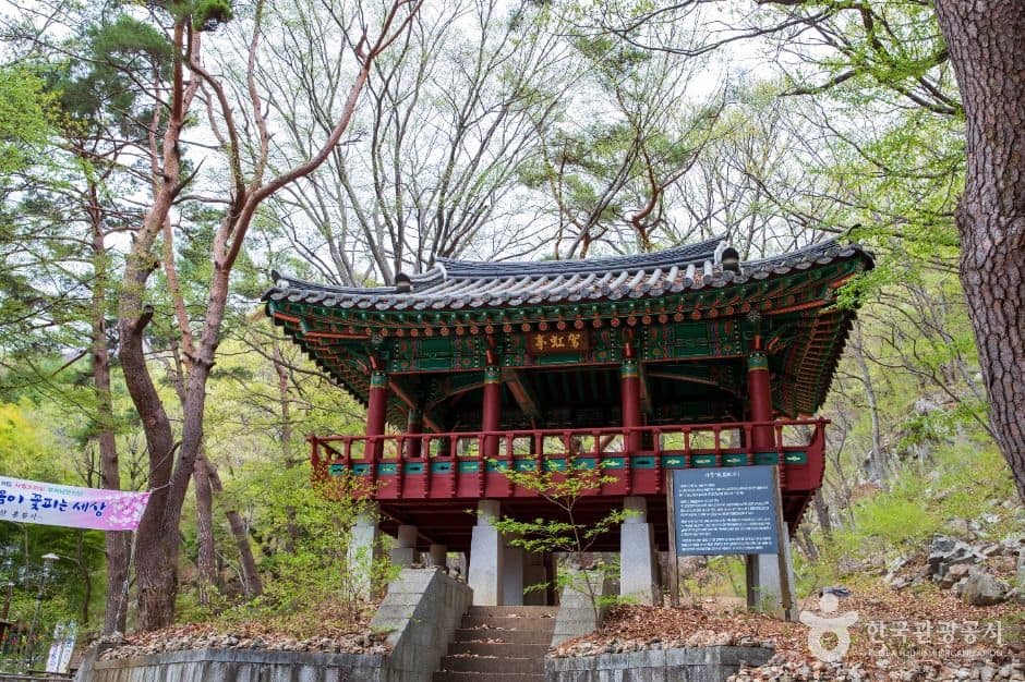 양산_홍룡사(양산) (6)