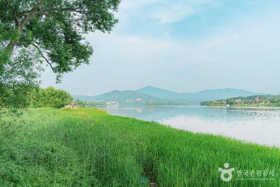 양평_강하수변공원 (5)