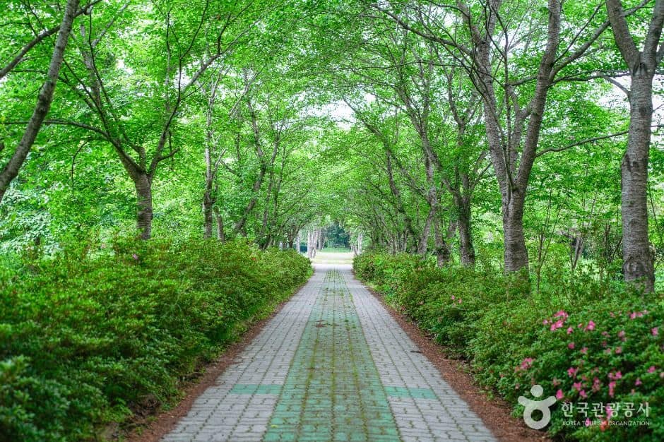경주_경상북도 산림환경연구원 (3)