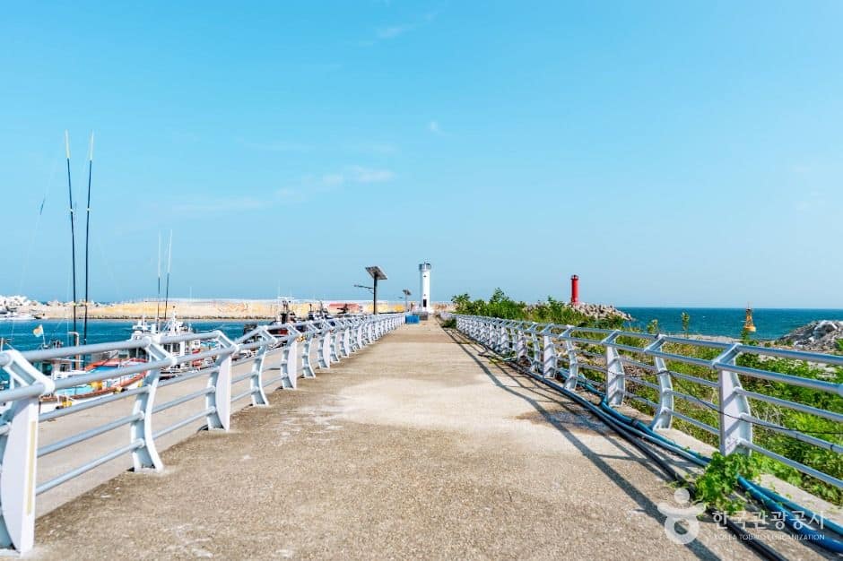 경주_전촌항 (2)