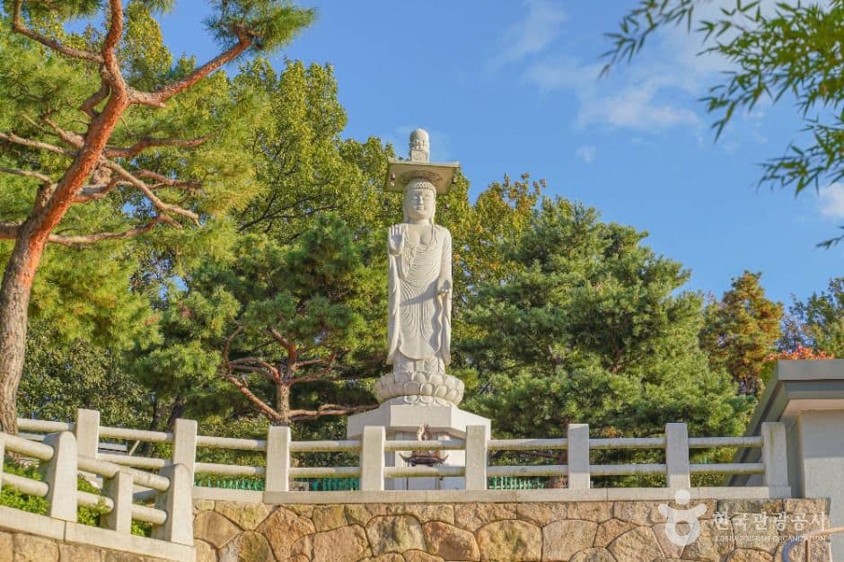 서울_달마사(서울) (3)
