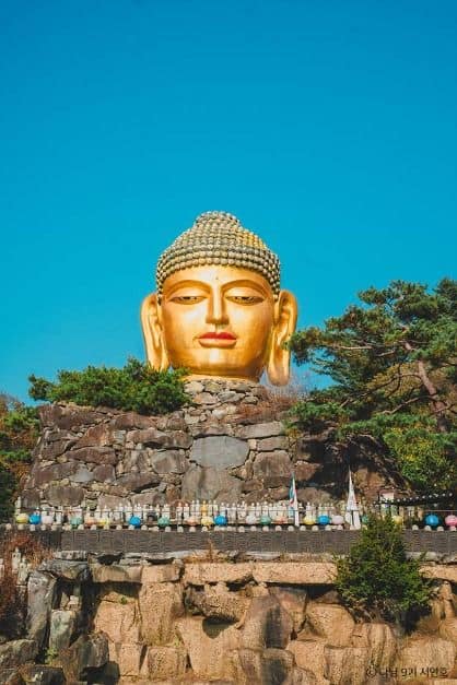 용인 단풍 명소 실시간 한국외대 와우정사 핫플 카페 아리랑도원_와우정사_2-2