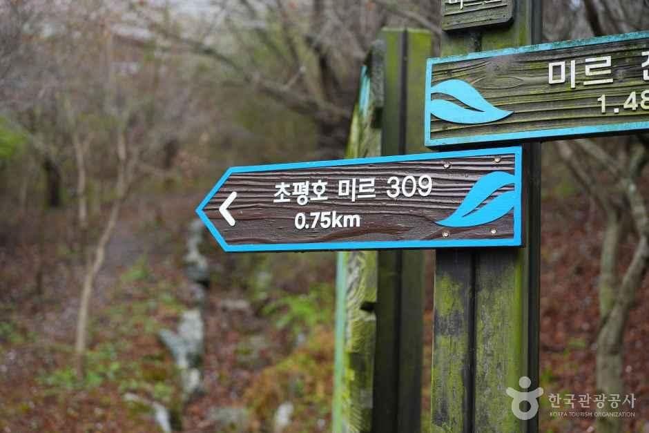 충북_진천_초평호 미르309 출렁다리_외부_6.JPG