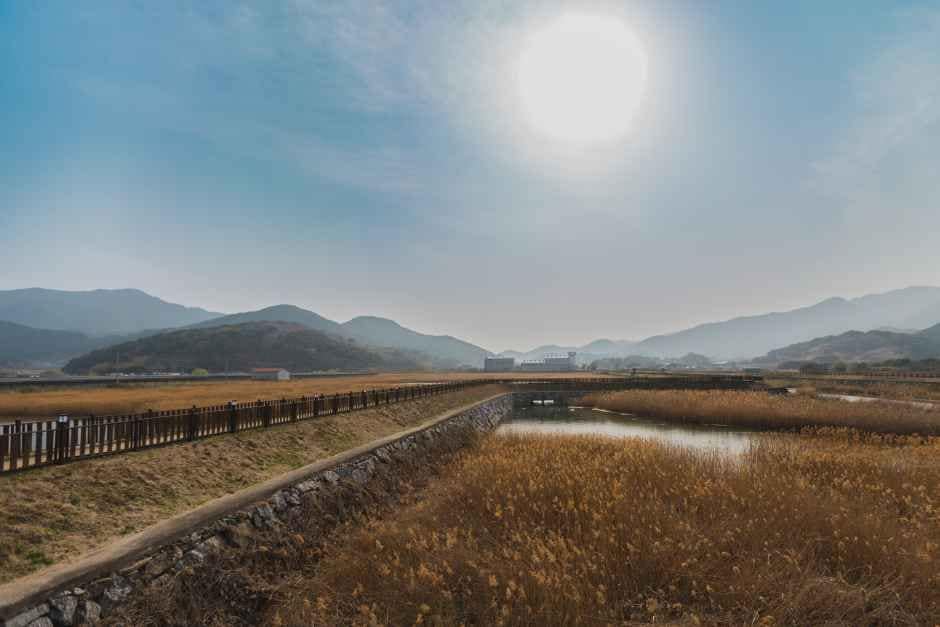 남해_[남해바래길 1코스] 바래오시다길 (4).jpg