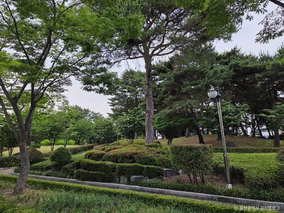 울산_문화공원(울산) (4).jpg