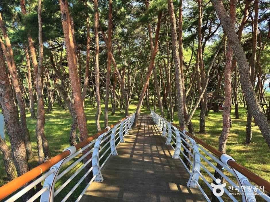 경남_거창_장풍숲_입구_2.JPG