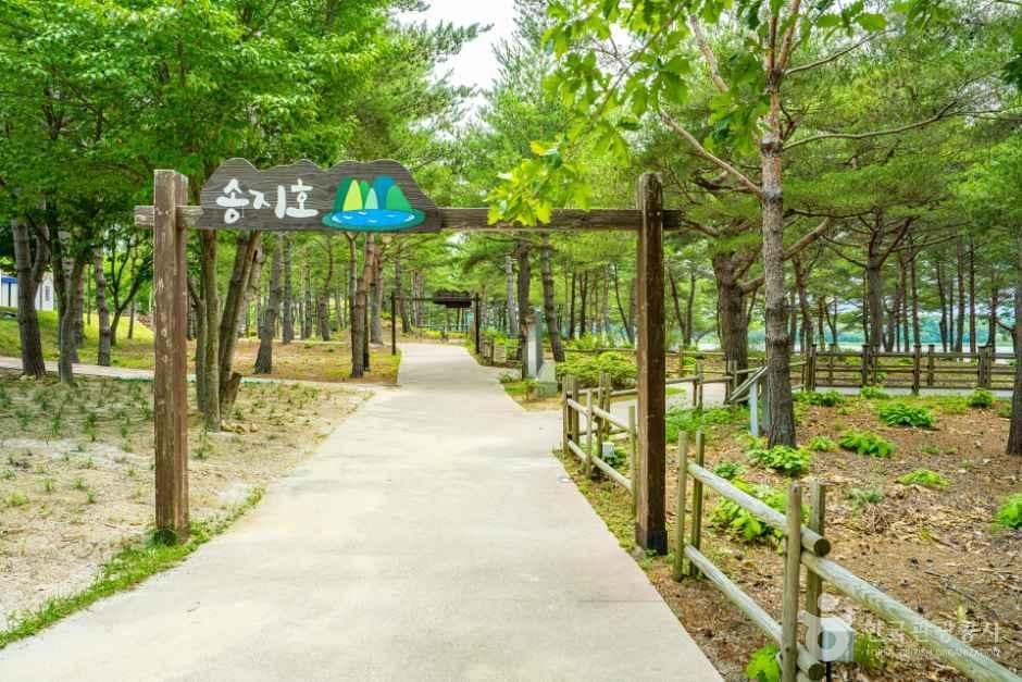 고성_[해파랑길] 47코스 (7).jpg