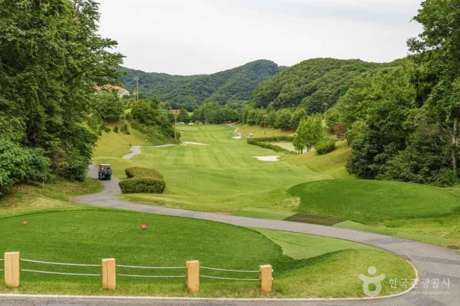파주_파주CC (2).jpg