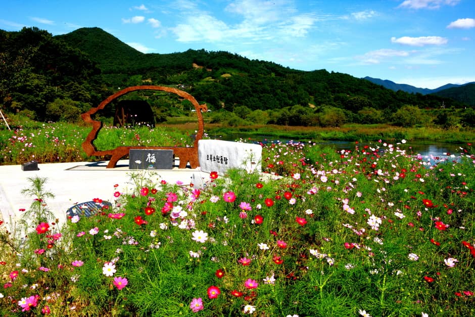 대황강 자연휴식공원 (3)