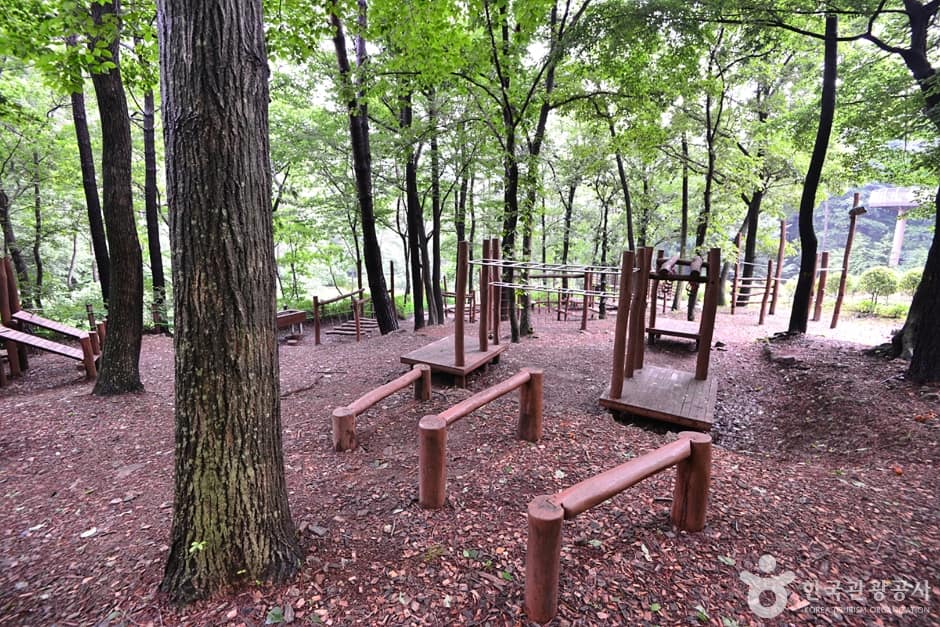 전남_광양_백운산치유의숲 (10)
