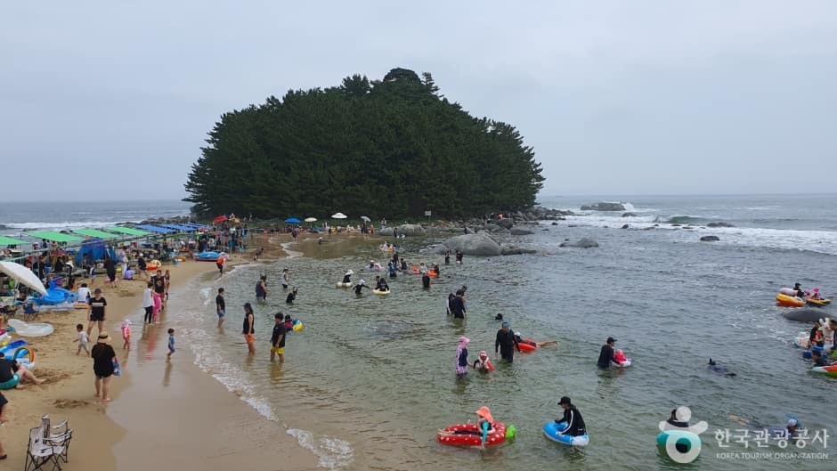 마차진해변 (6)