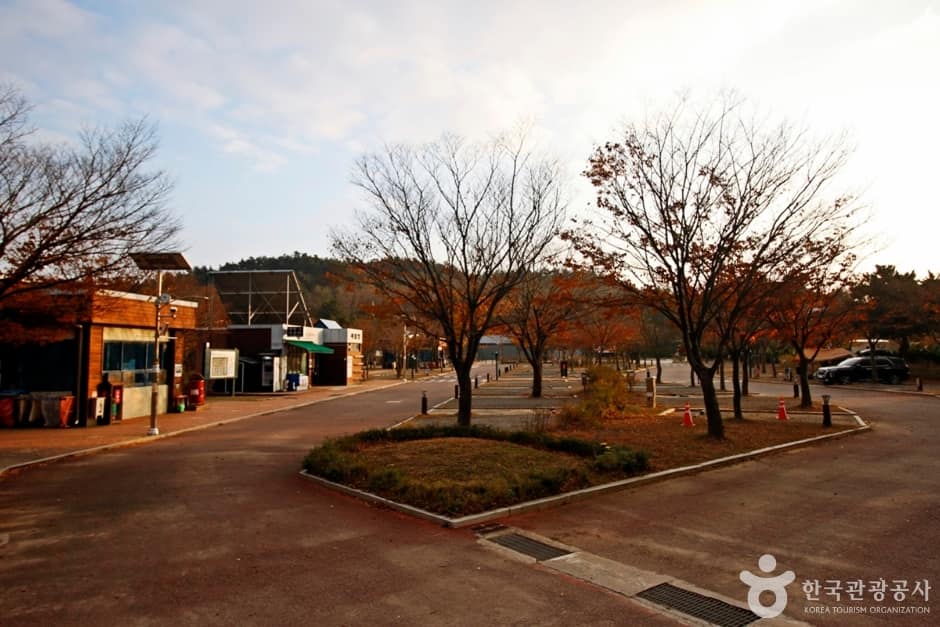 학암포 오토캠핑장 (10)