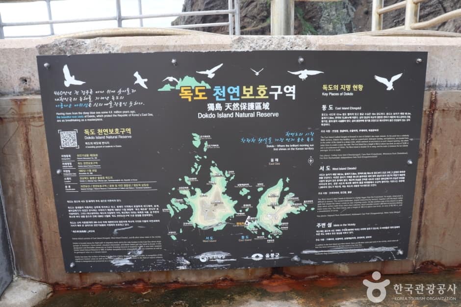 독도 (13)