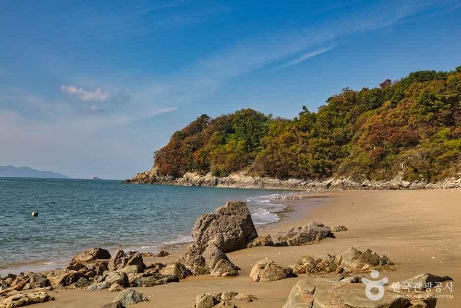 계남해변 (4)