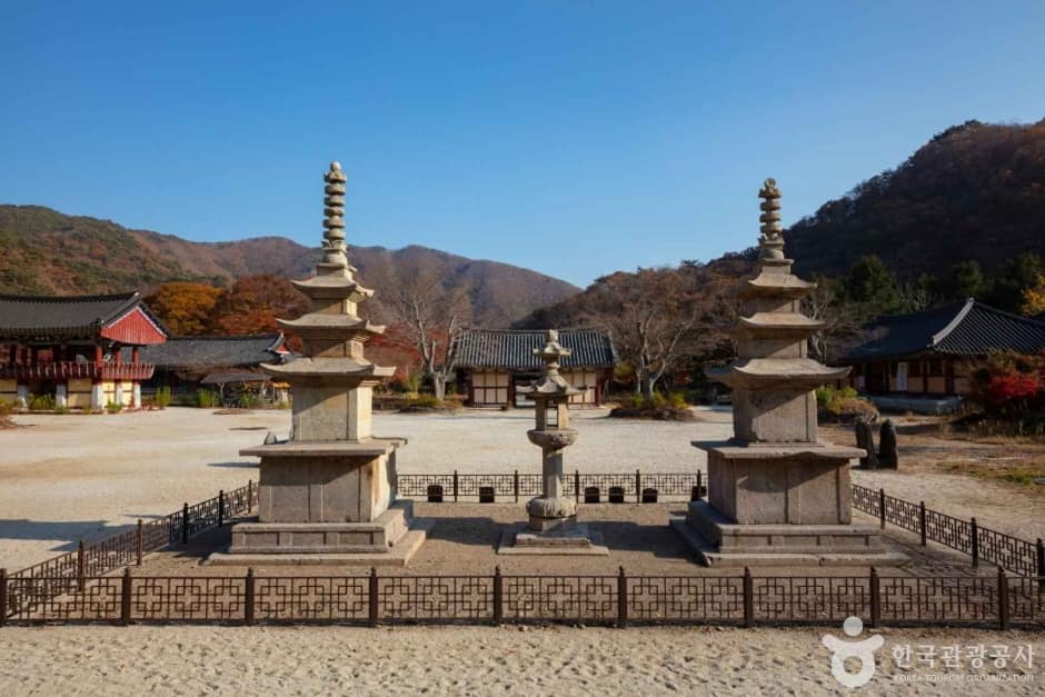 보림사(장흥) (1)