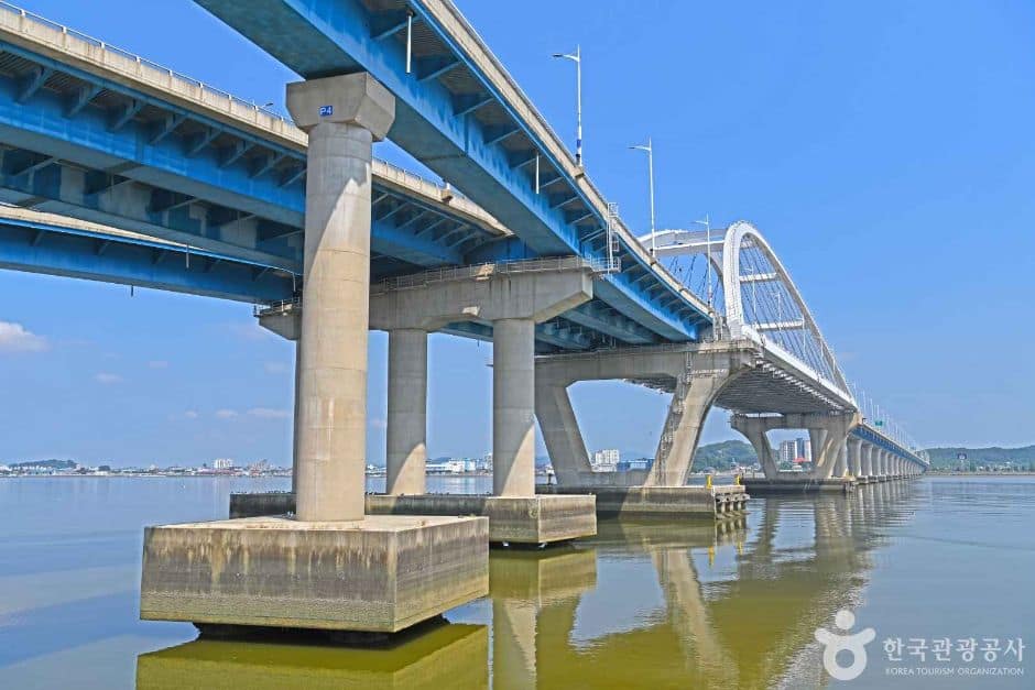 동백대교 (3)