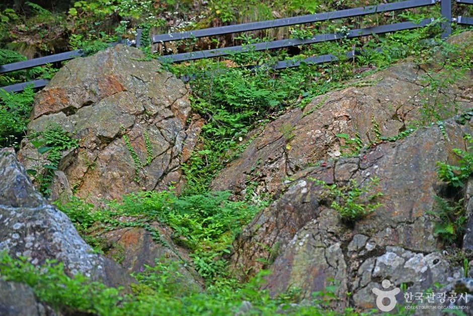 무주_오산리 구상화강편마암 (7)