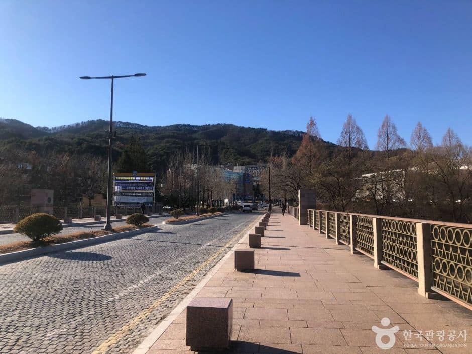강원_원주_연세대 원주캠퍼스길 (1)
