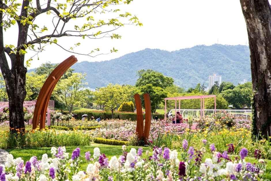 순천만국가정원 (5)