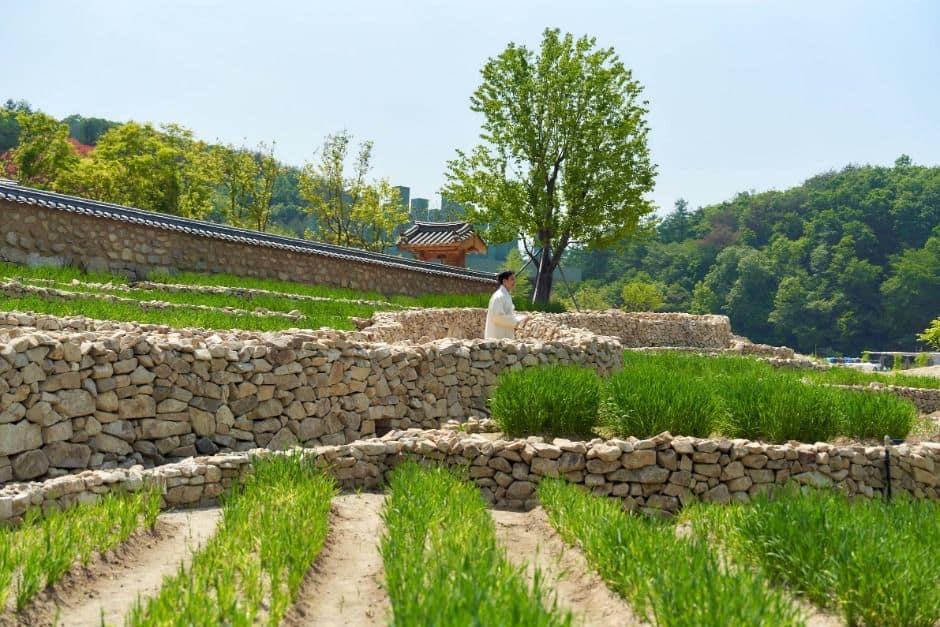 양평_메덩골정원 (1)
