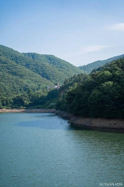 보성 가볼만한곳 보성 여름방학 가족 여행_제암산자연휴양림_1-7