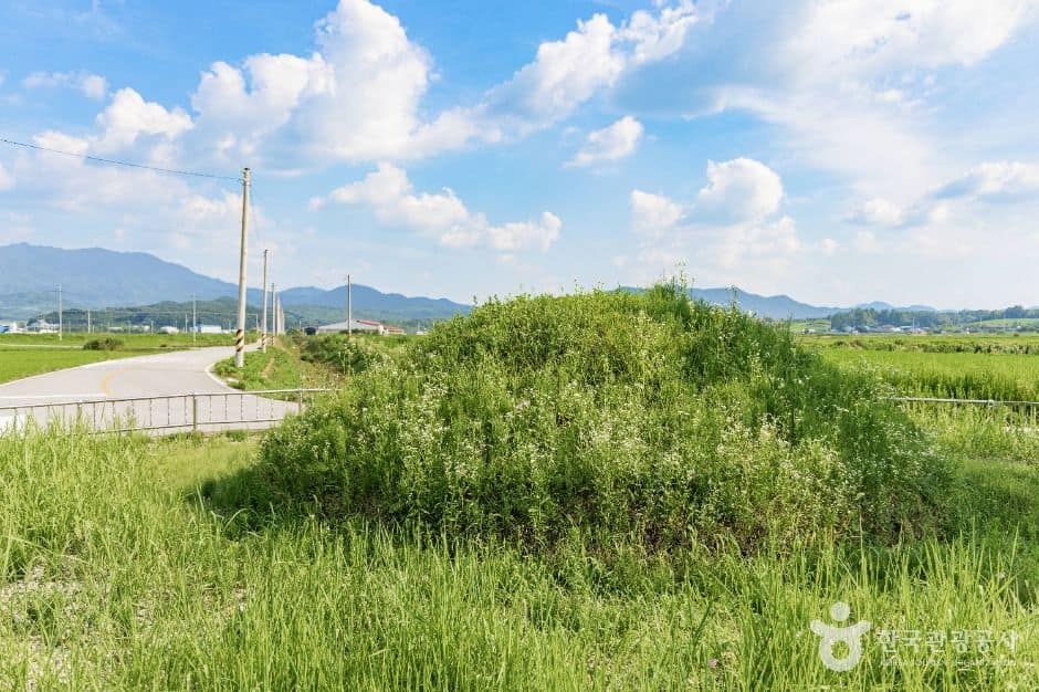 곡성_의마총 (1)