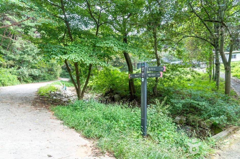 서산_개심사 가는 길 (3)