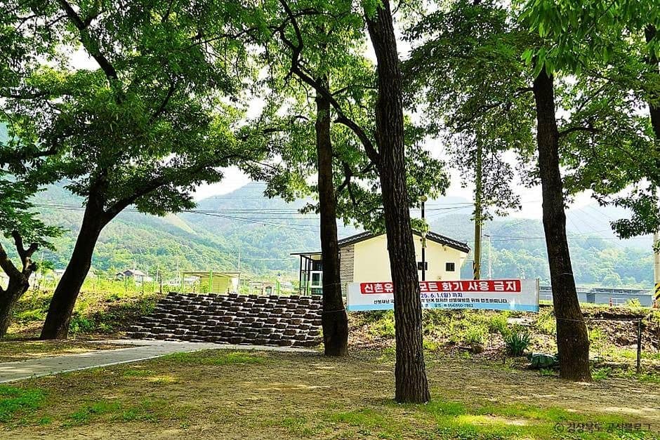 고령_고령 신촌숲 (5)