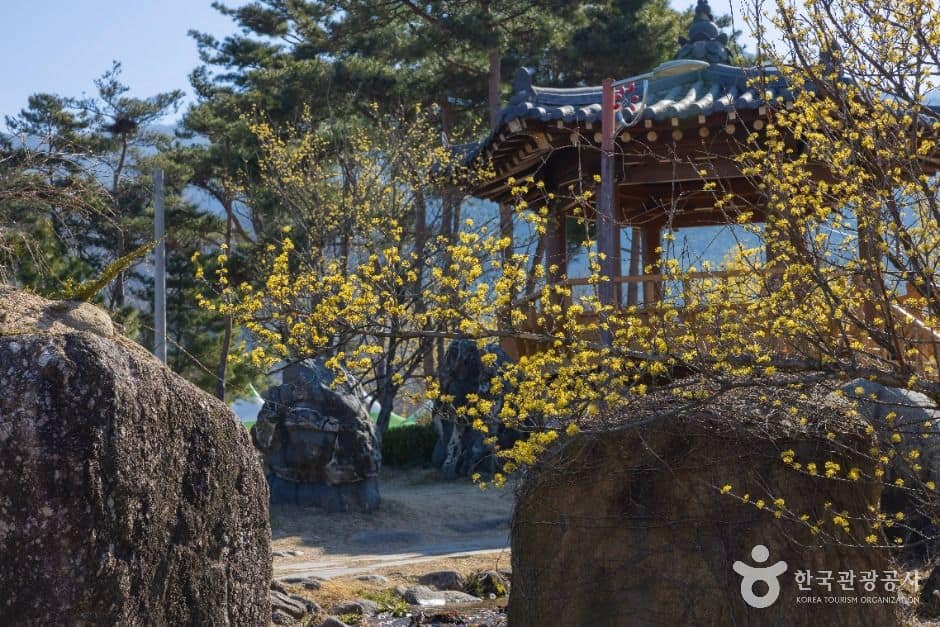 구례_구례 산수유마을 (1)