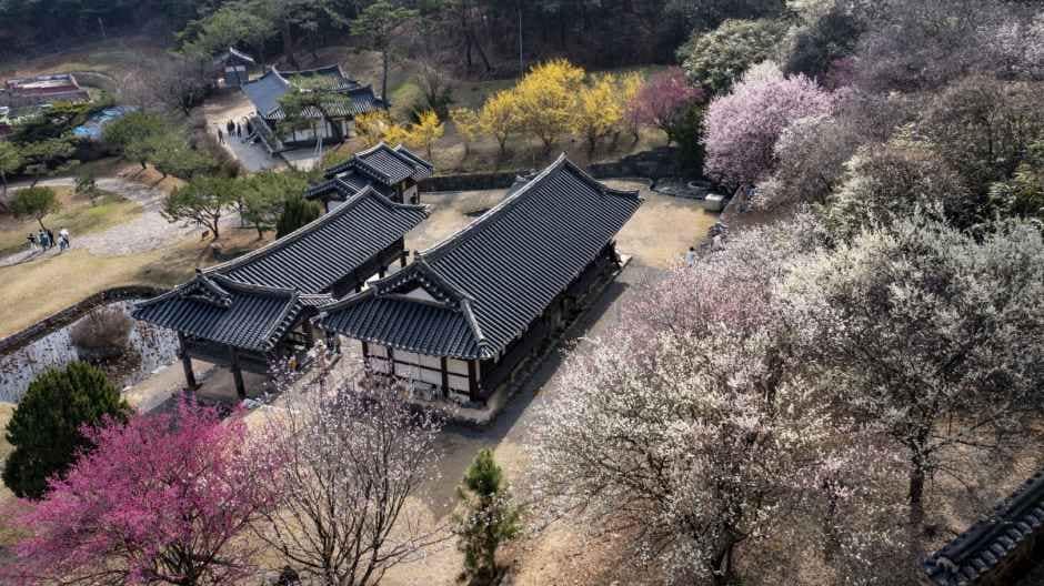 논산_종학당 (2).jpg