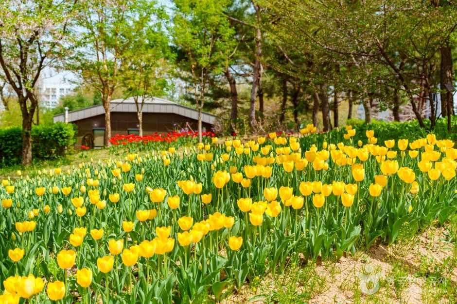 서울_양천도시농업공원 (6).jpg