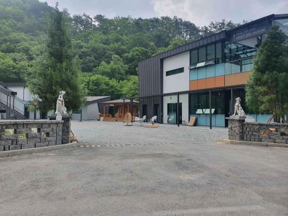 홍천_그자리야영장 (1).jpg