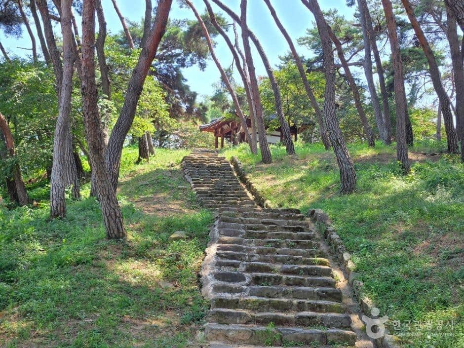 전남_담양_송강정_외부_1.jpg