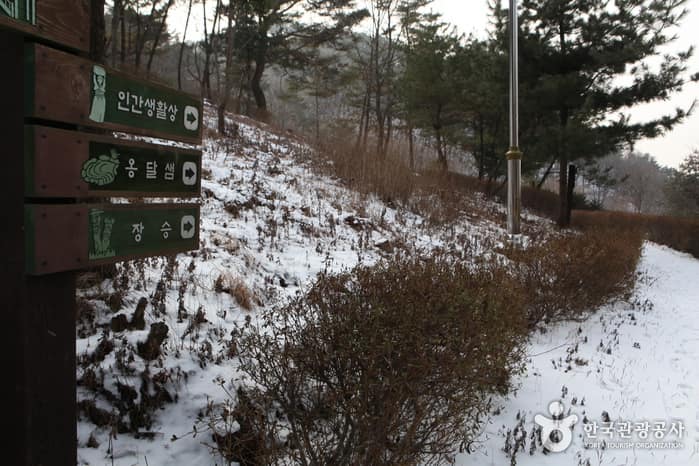 충북_괴산_박달산(괴산)03