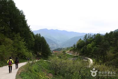 [지리산 둘레길 코스] 인월~금계