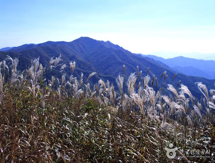 장안산