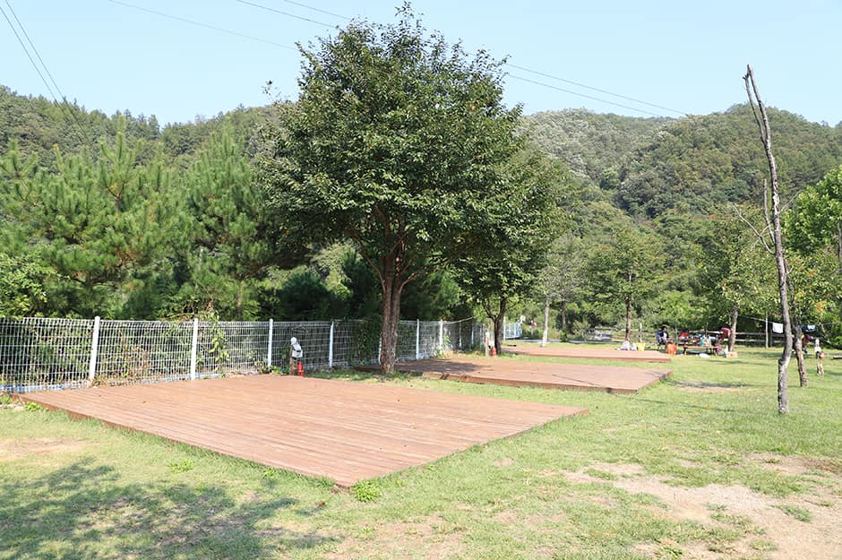 비발디캠핑파크_전경1