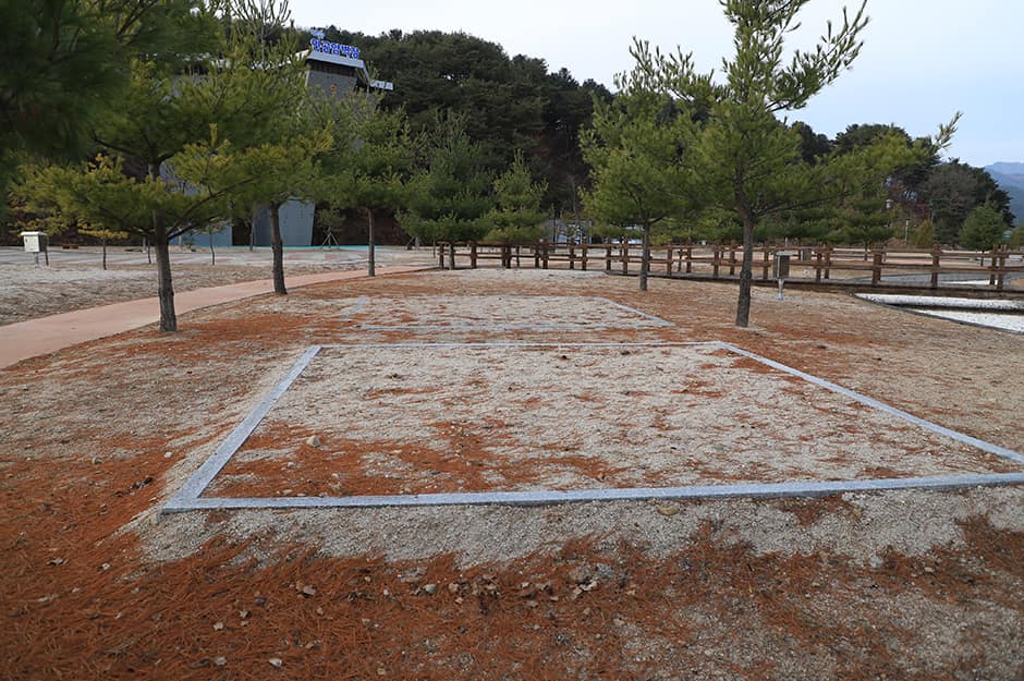 동수리인문학마을협동조합야영장_사이트1