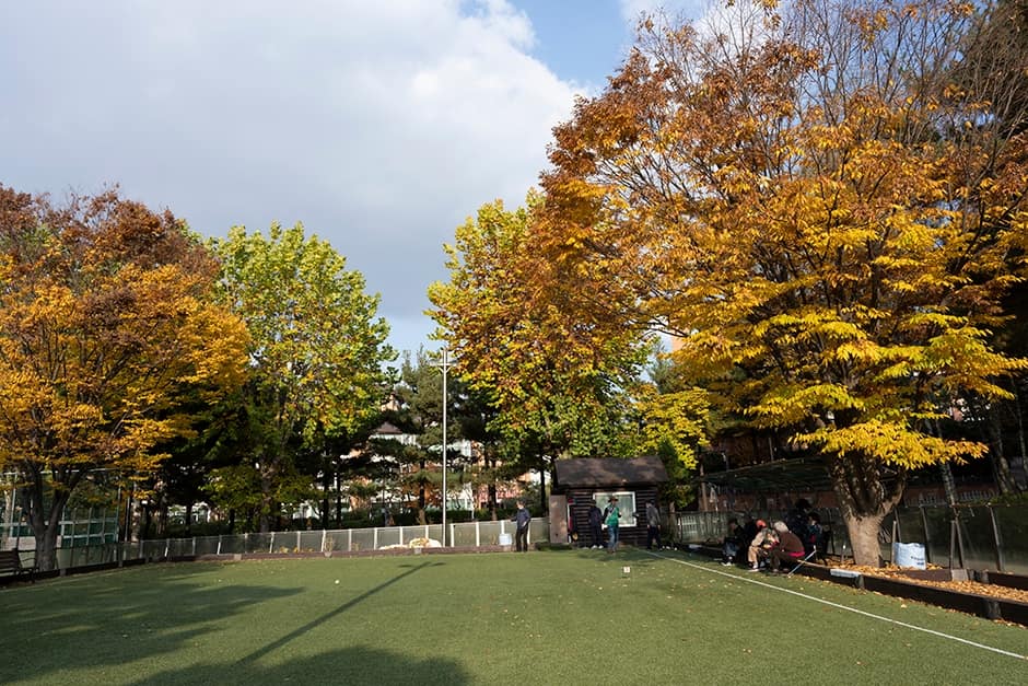 경기도_성남시_태현공원_게이트볼장